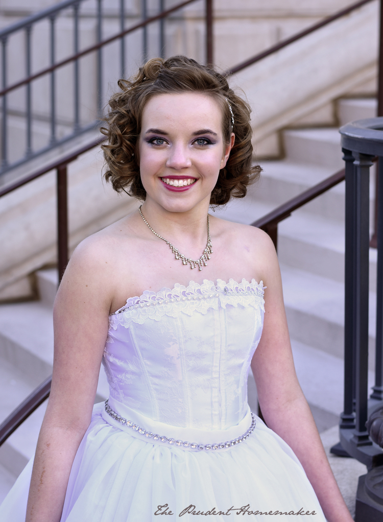 Cinderella White Dress Bodice The Prudent Homemaker