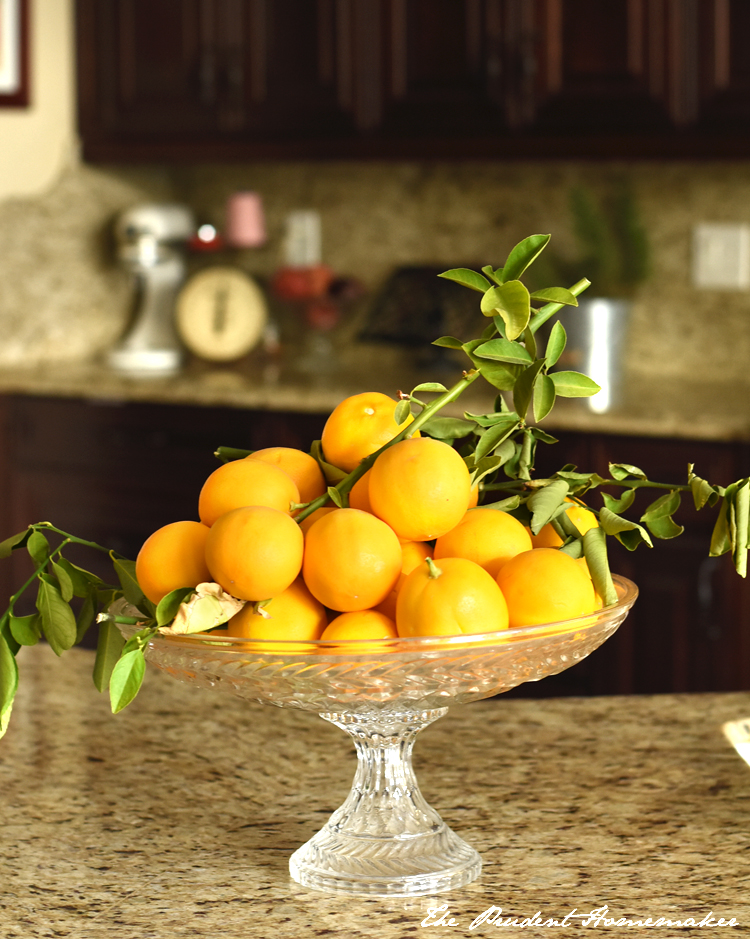Lemons in the kitchen The Prudent Homemaker