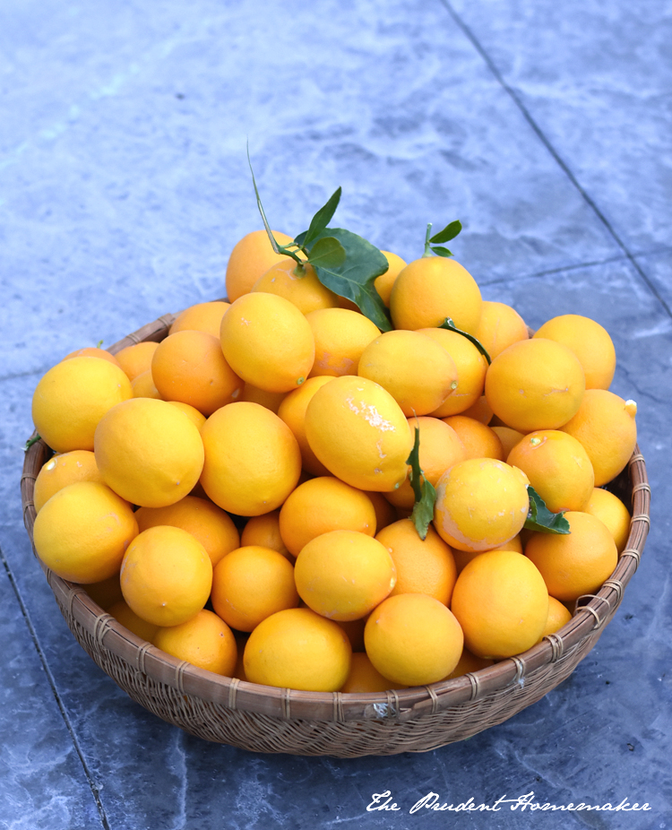 Meyer Lemons in Basket The Prudent Homemaker