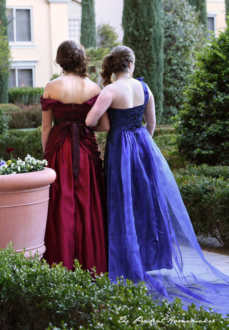 Step-sisters dresses from behind The Prudent Homemaker