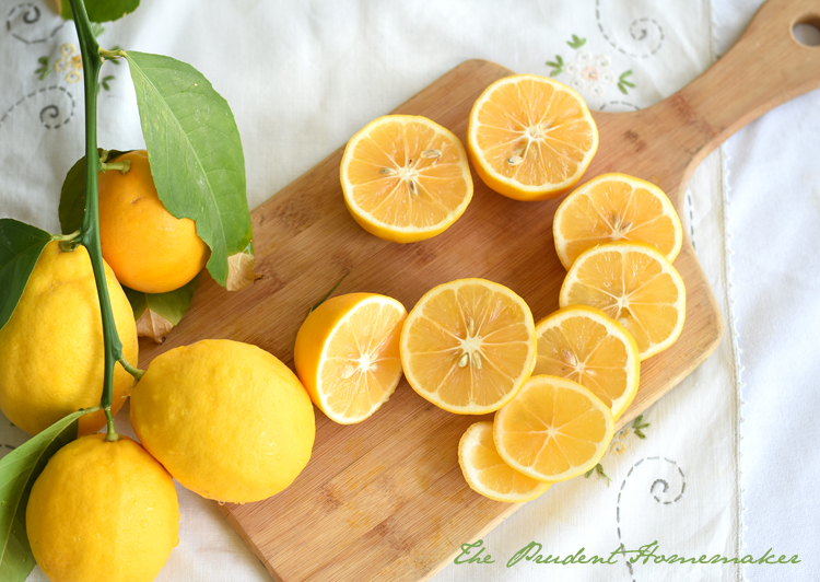 Lemons The Prudent Homemaker