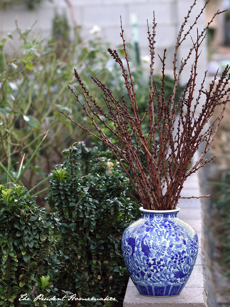 Apricot branches in vase The Prudent Homemaker