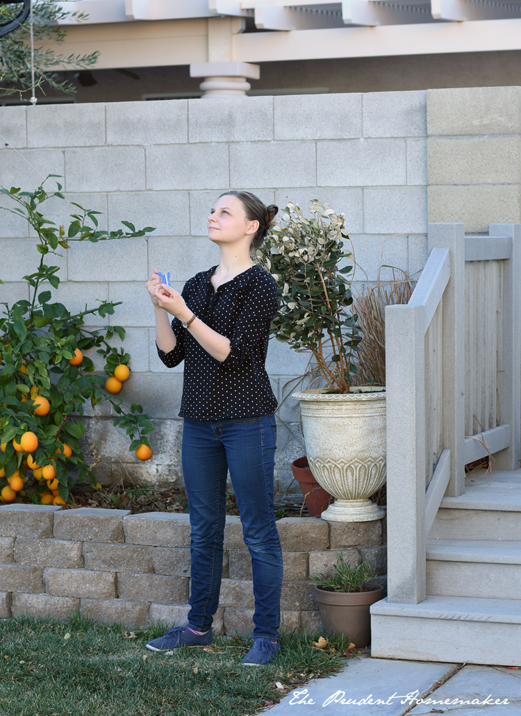 Flying a Kite The Prudent Homemaker