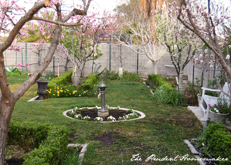 Garden in March  circle 2 The Prudent Homemaker