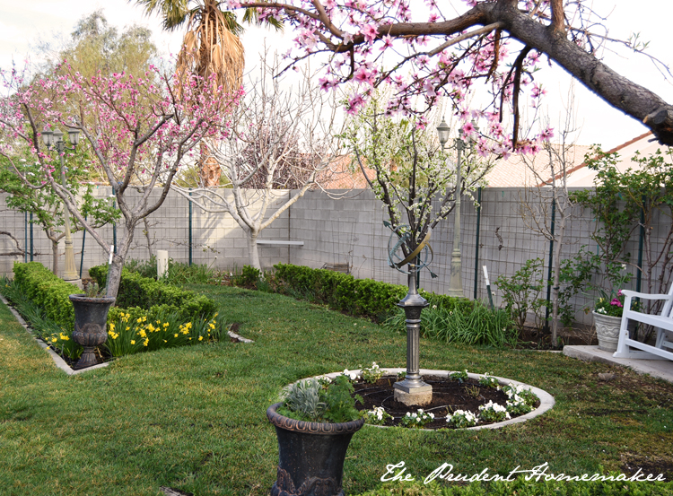 Garden in March center circle The Prudent Homemaker
