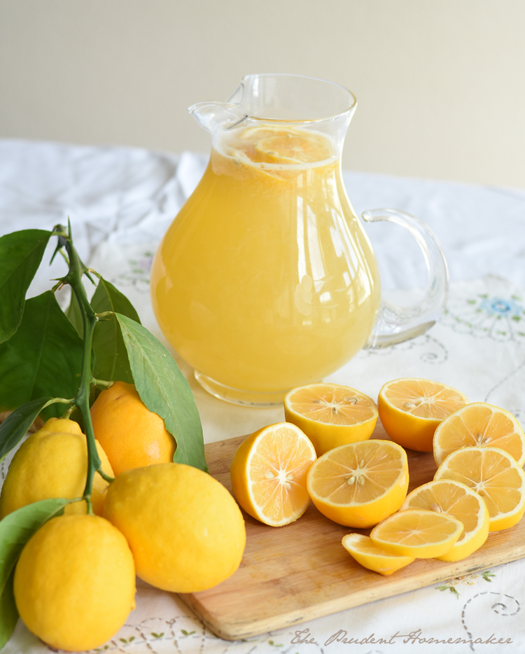 Lemonade 1 The Prudent Homemaker