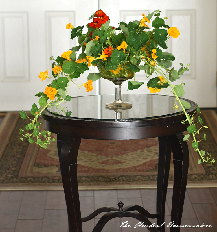 Nasturium Arrangement The Prudent Homemaker