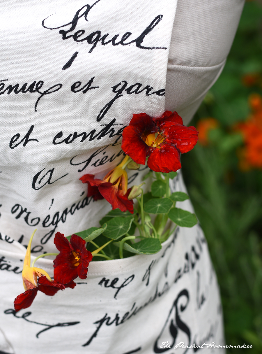 French Script Apron Detail The Prudent Homemaker