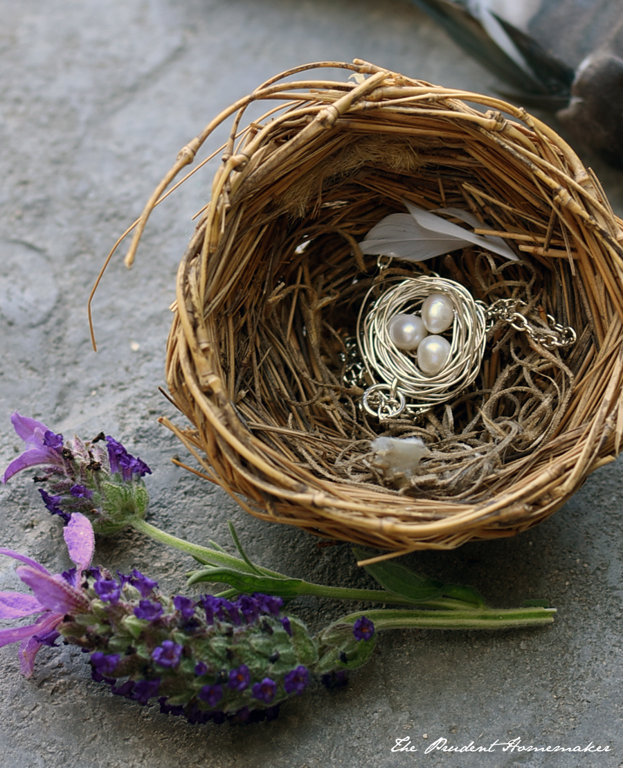Bird Nest Necklace The Prudent Homemaker