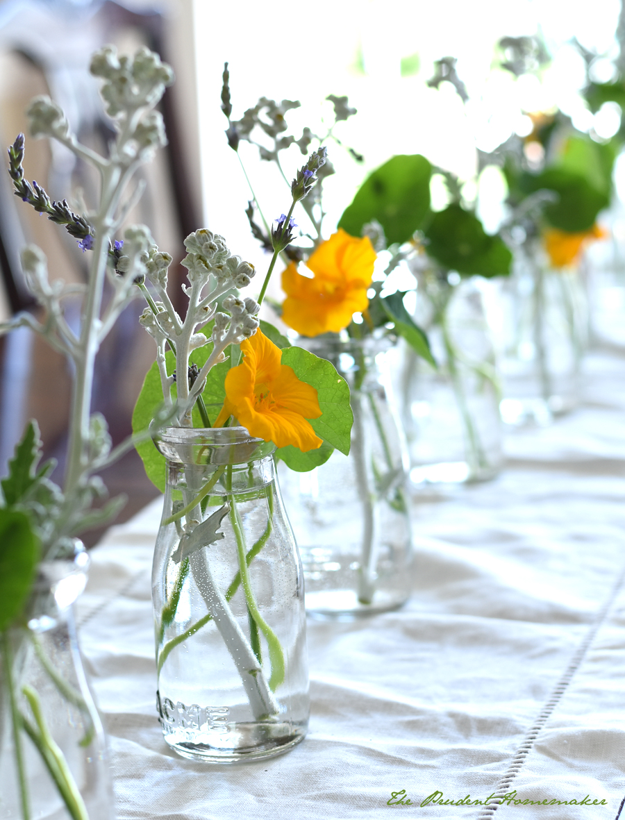 Nasturtiums and Dusty Miller in Milk Bottles The Prudent Homemaker