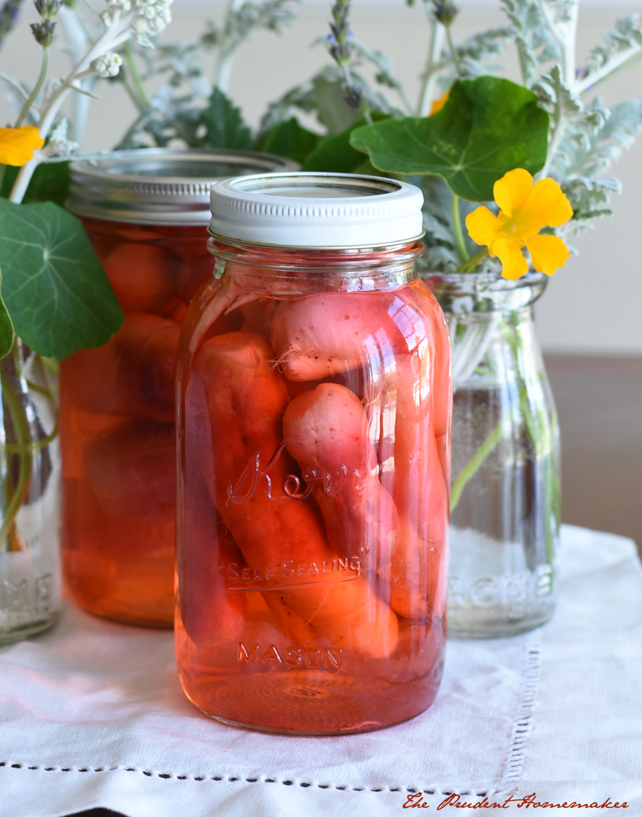 Pickled Radishes The Prudent Homemaker