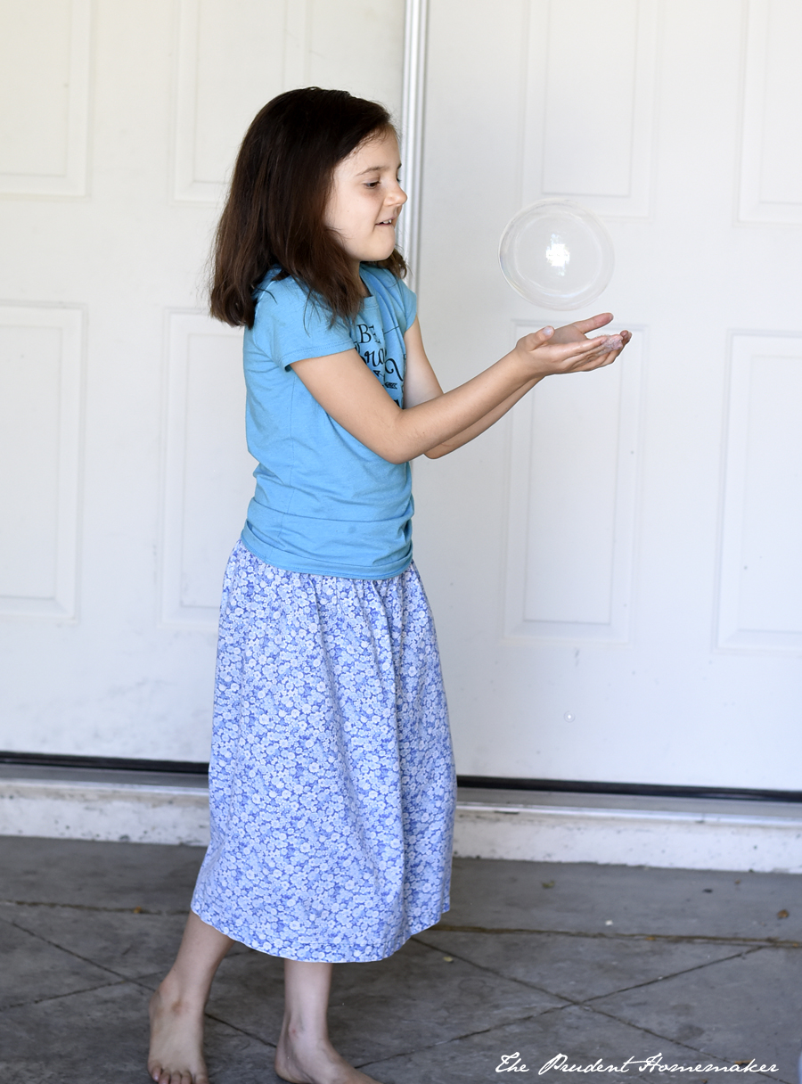 Wren Bubbles 2 The Prudent Homemaker