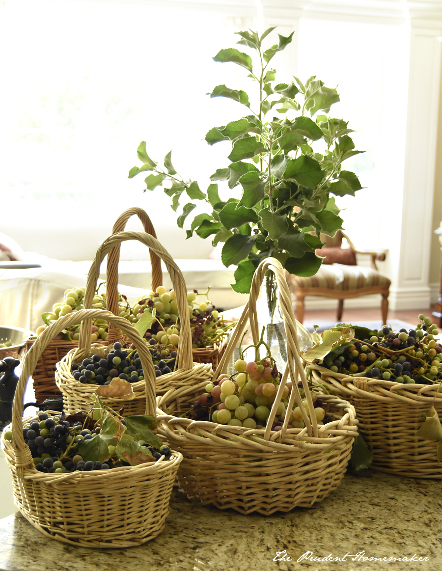 Grape Harvest The Prudent Homemaker