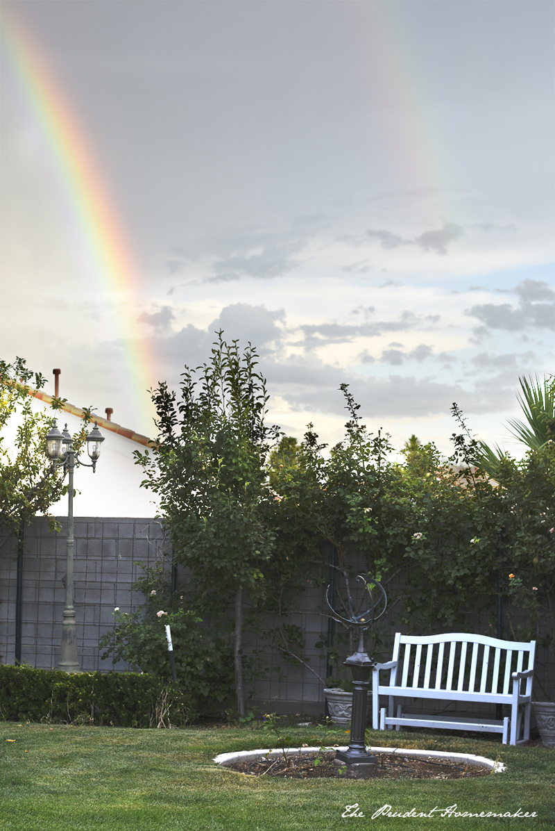 Rainbow over the garden The Prudent Homemaker