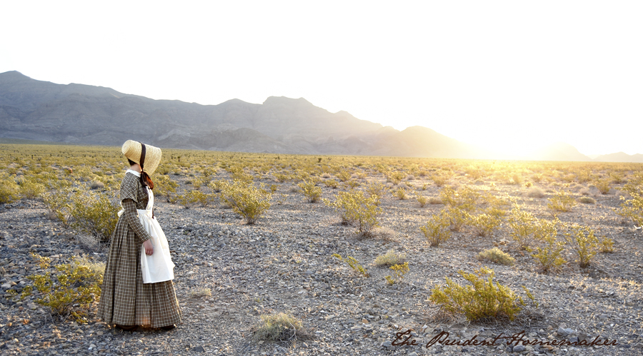 1840's Pioneer Reproduction Dress and Bonnet: Winter's Outfit for a Mormon  Handcart Trek – THE PRUDENT HOMEMAKER