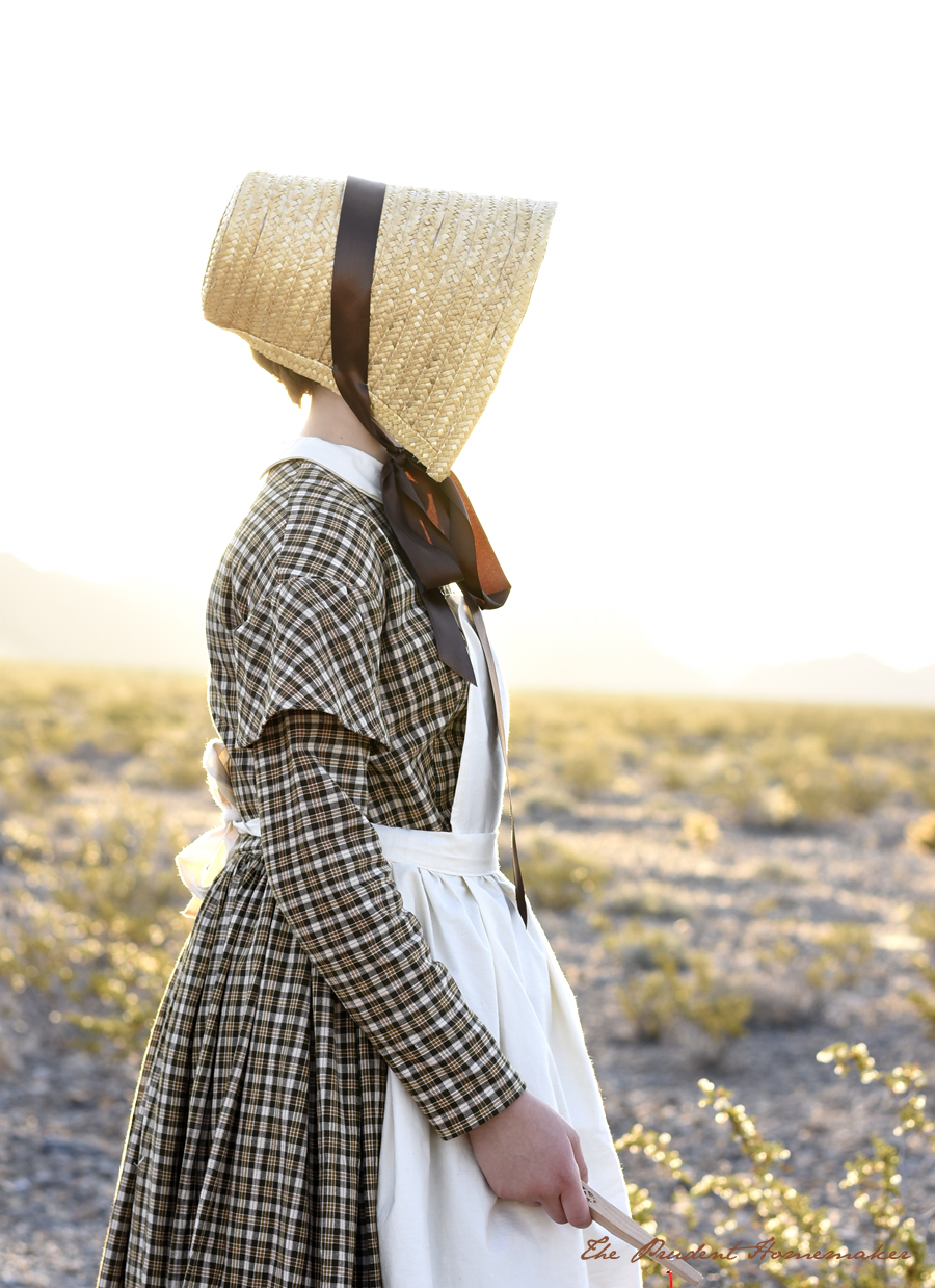 Winter Pioneer Handcart Trek 3 The Prudent Homemaker