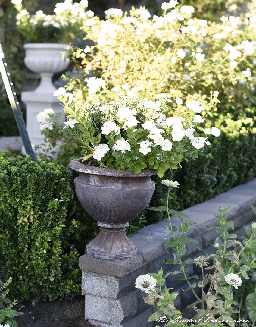 September Garden Urns The Prudent Homemaker