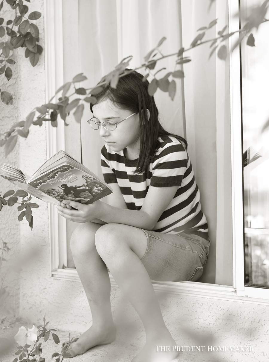 Reading in the Window The Prudent Homemaker