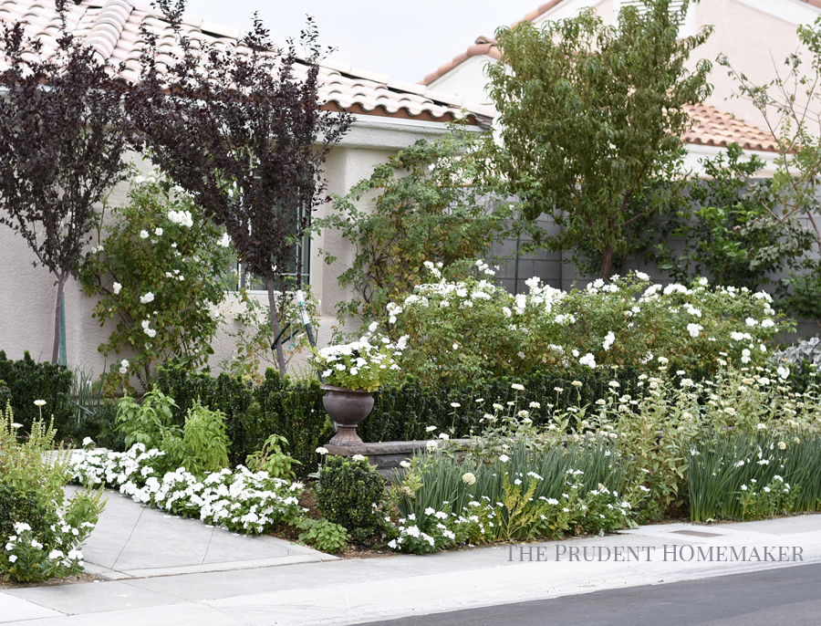 White Garden in October The Prudent Homemaker