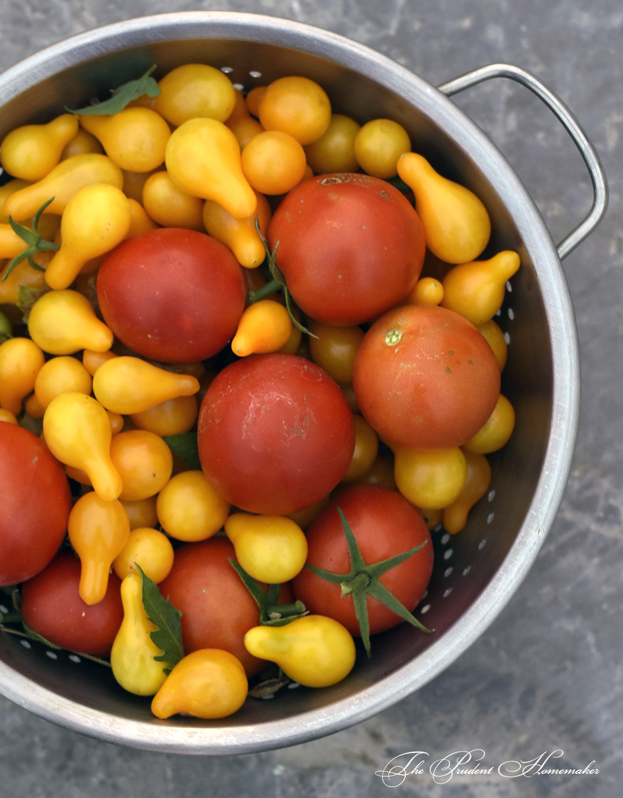 Tomatoes The Prudent Homemaker