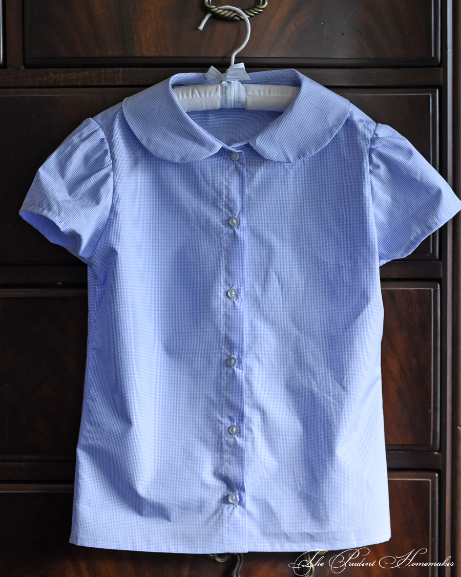 Check Blouse The Prudent Homemaker