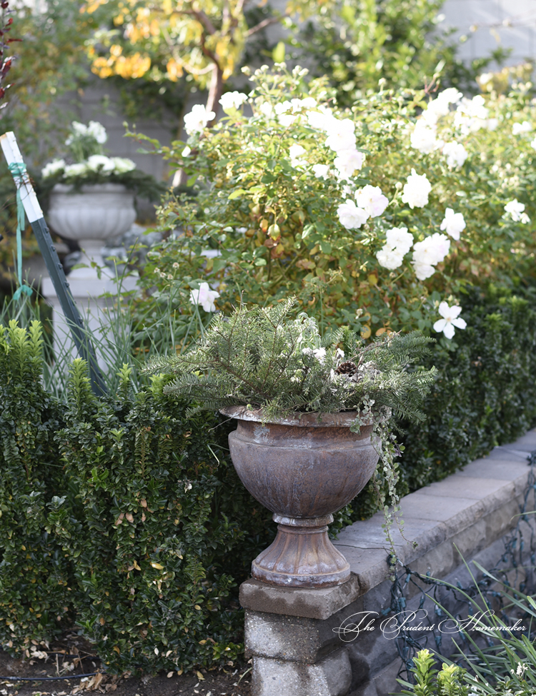 Winter Garden Urns The Prudent Homemaker