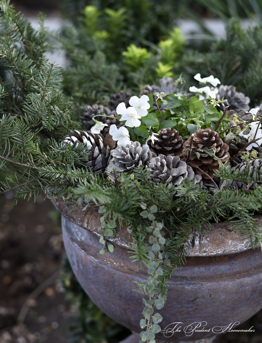 Winter Urn on Wall The Prudent Homemaker