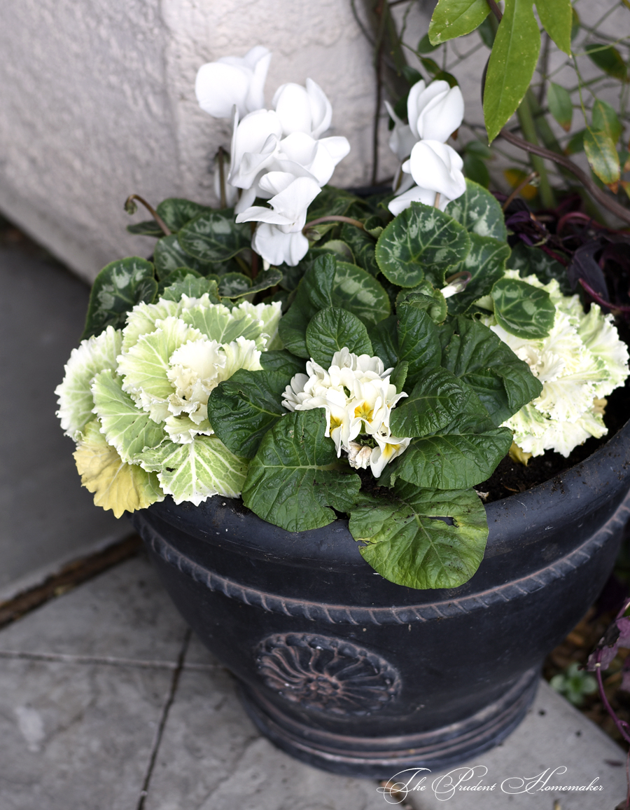 Winter White Black Urns The Prudent Homemaker