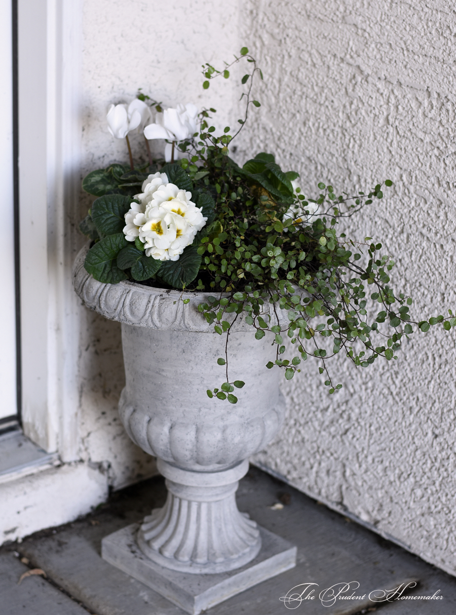 Winter White Urn by Door The Prudent Homemaker