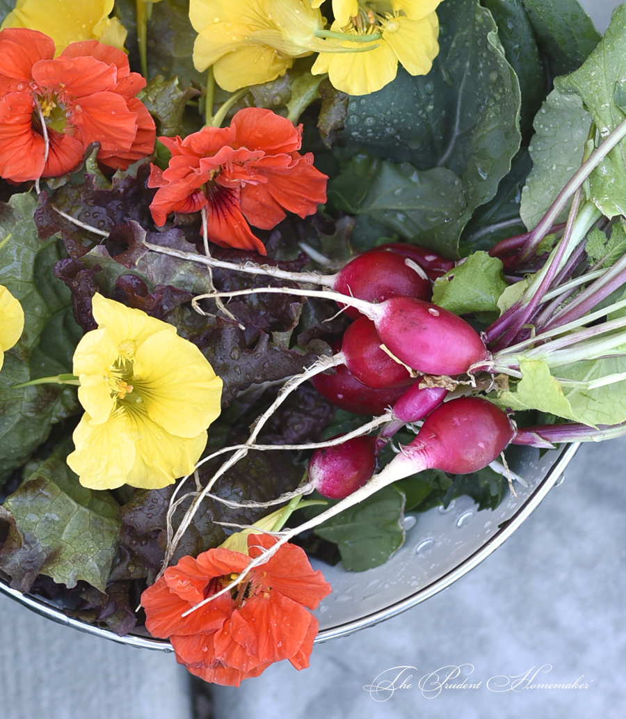 Salad Produce The Prudent Homemaker