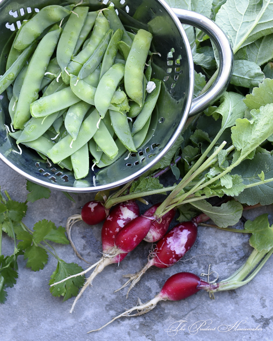 Snow Peas and Radishes The Prudent Homemaker