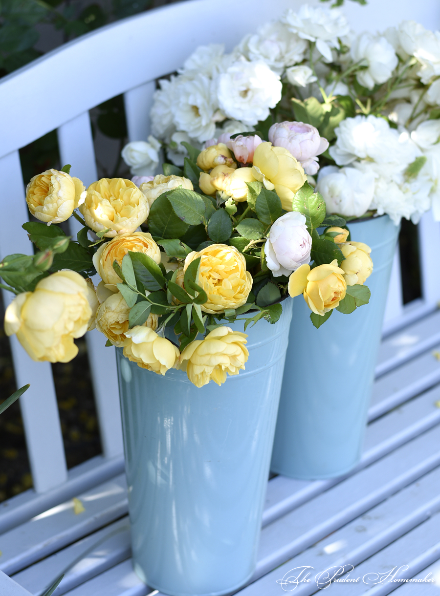 Roses in Enamel Buckets The Prudent Homemaker