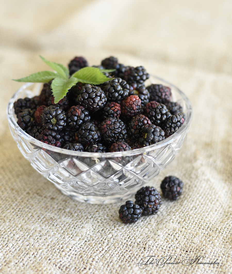 Blackberries in bowl The Prudent Homemaker
