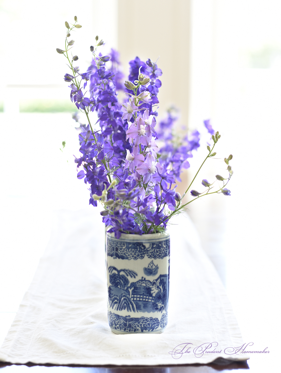 Larkspur in May The Prudent Homemaker