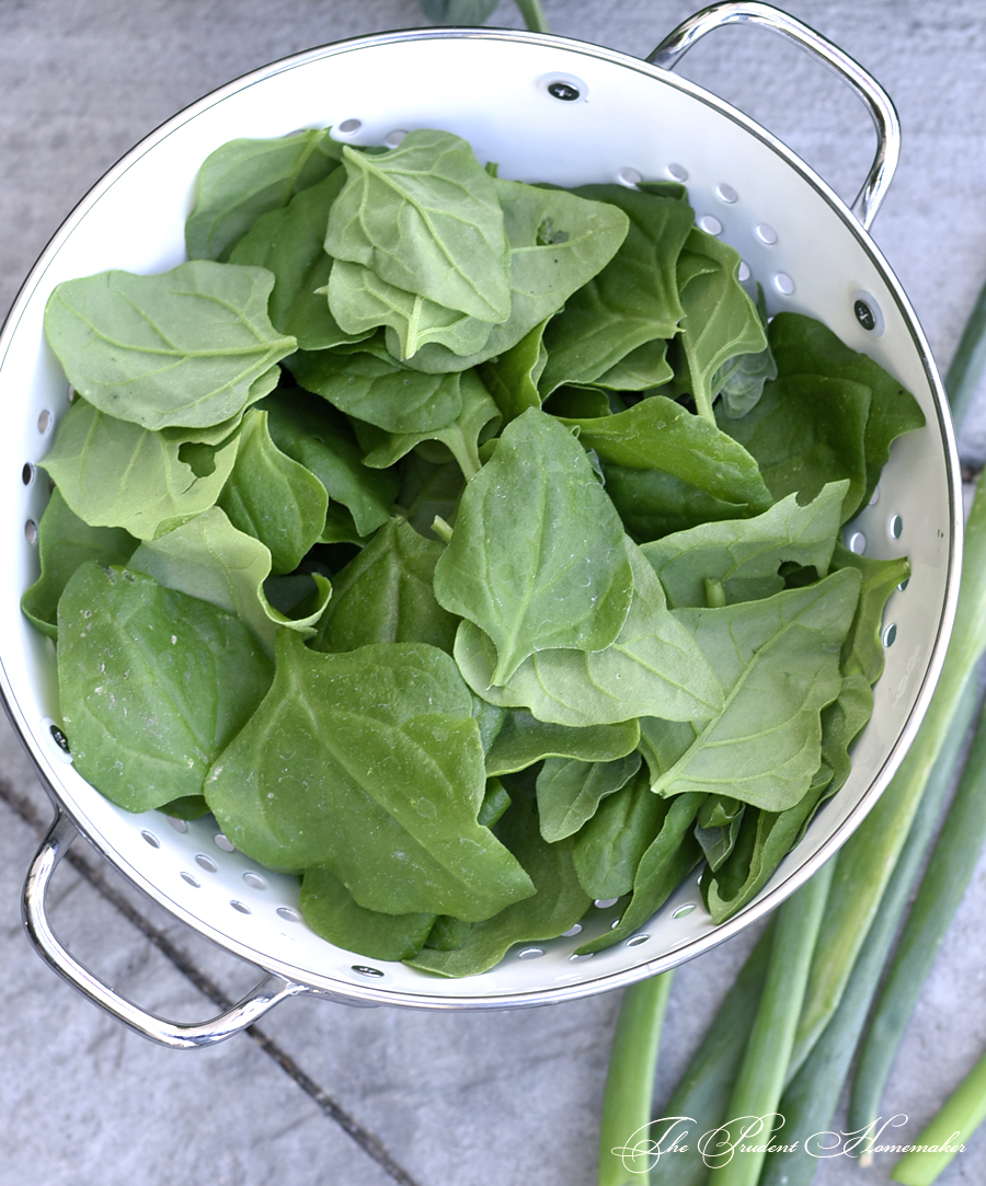 New Zealand Spinach The Prudent Homemaker