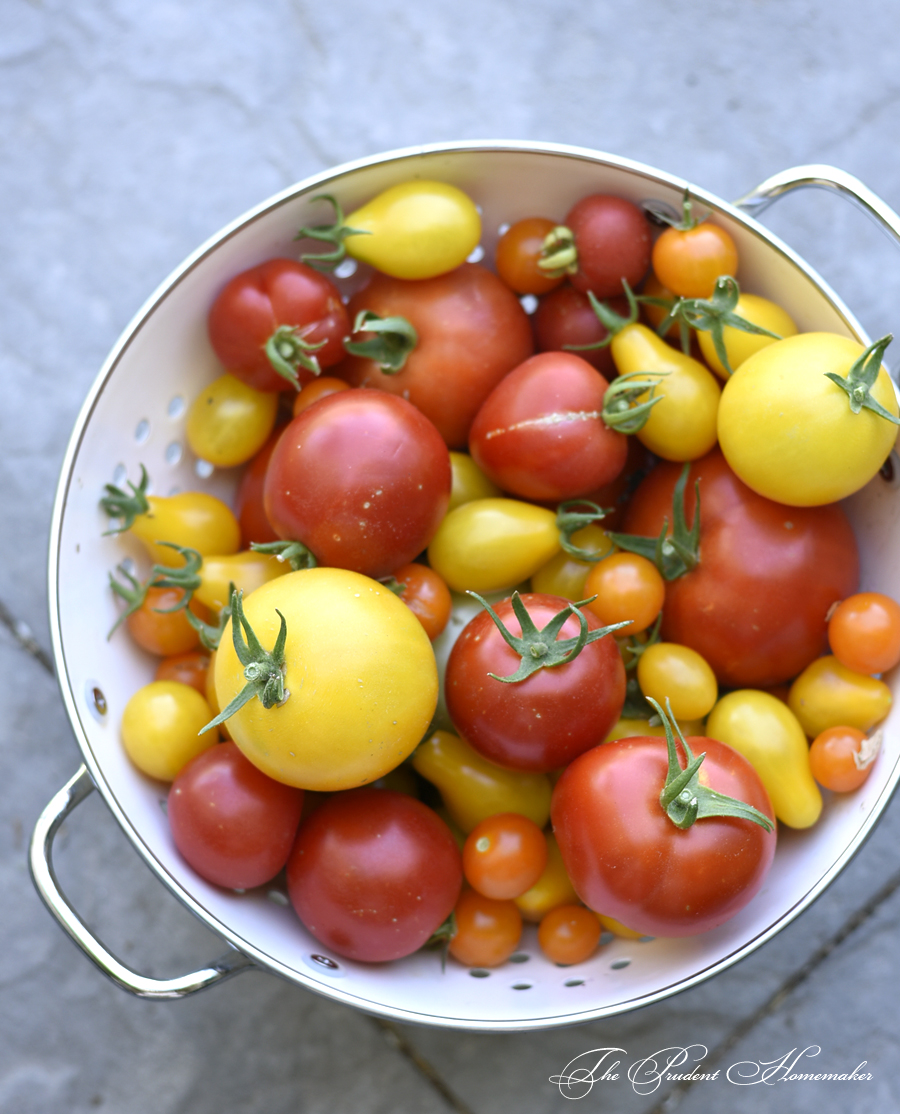 Tomato Medley The Prudent Homemaker