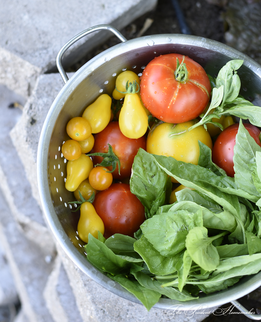 Tomatoes and Basil The Prudent Homemaker