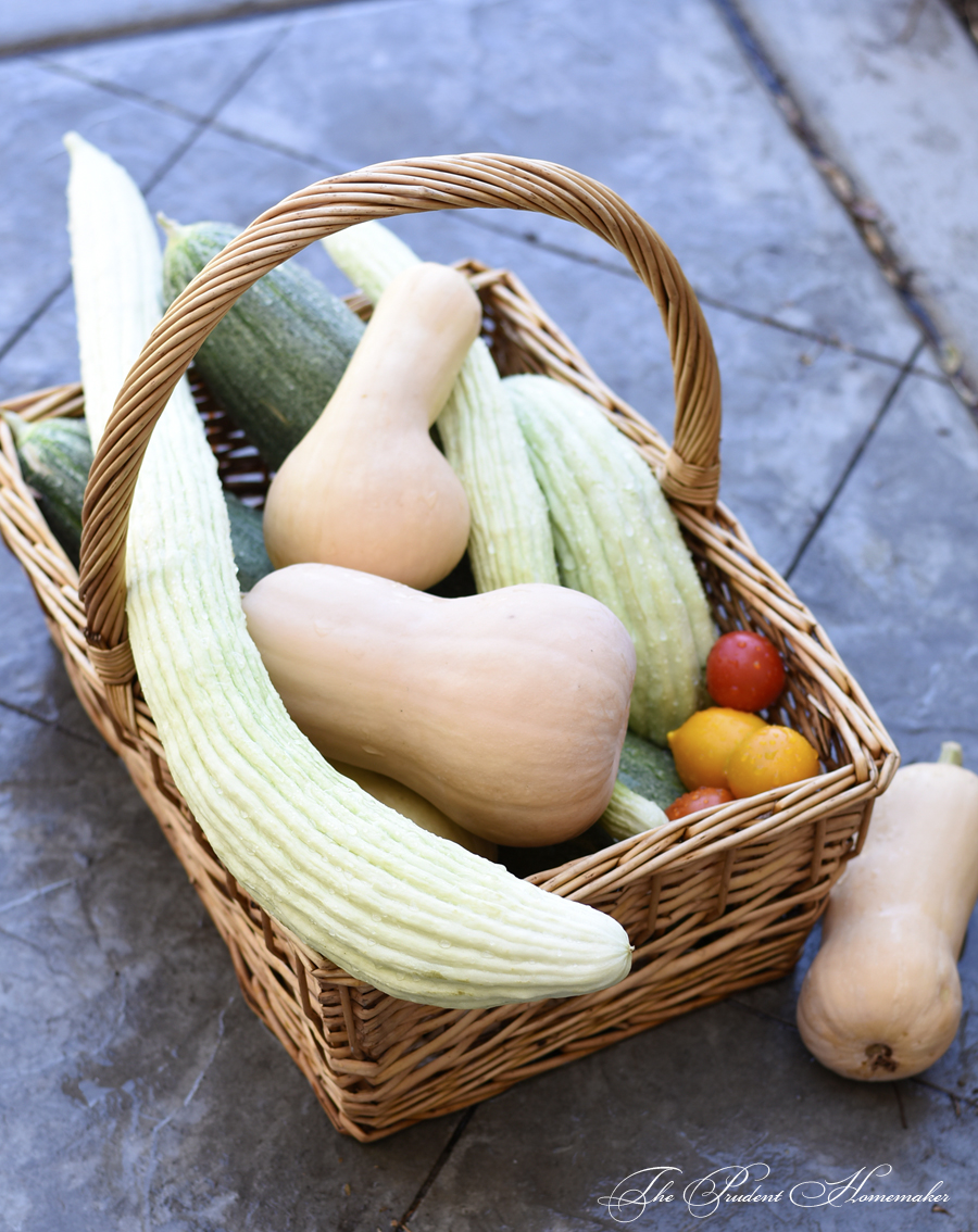 August Harvest The Prudent Homemaker