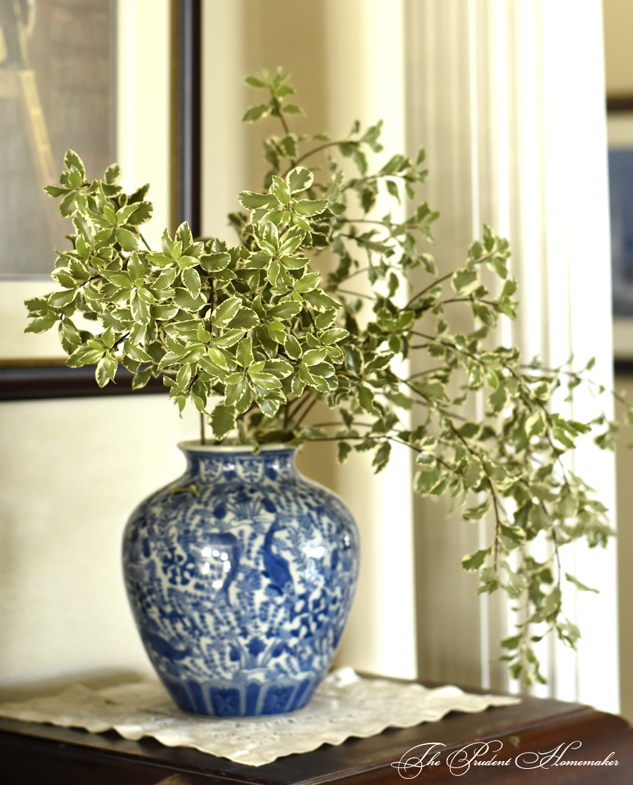 Italian Pittosporum The Prudent Homemaker