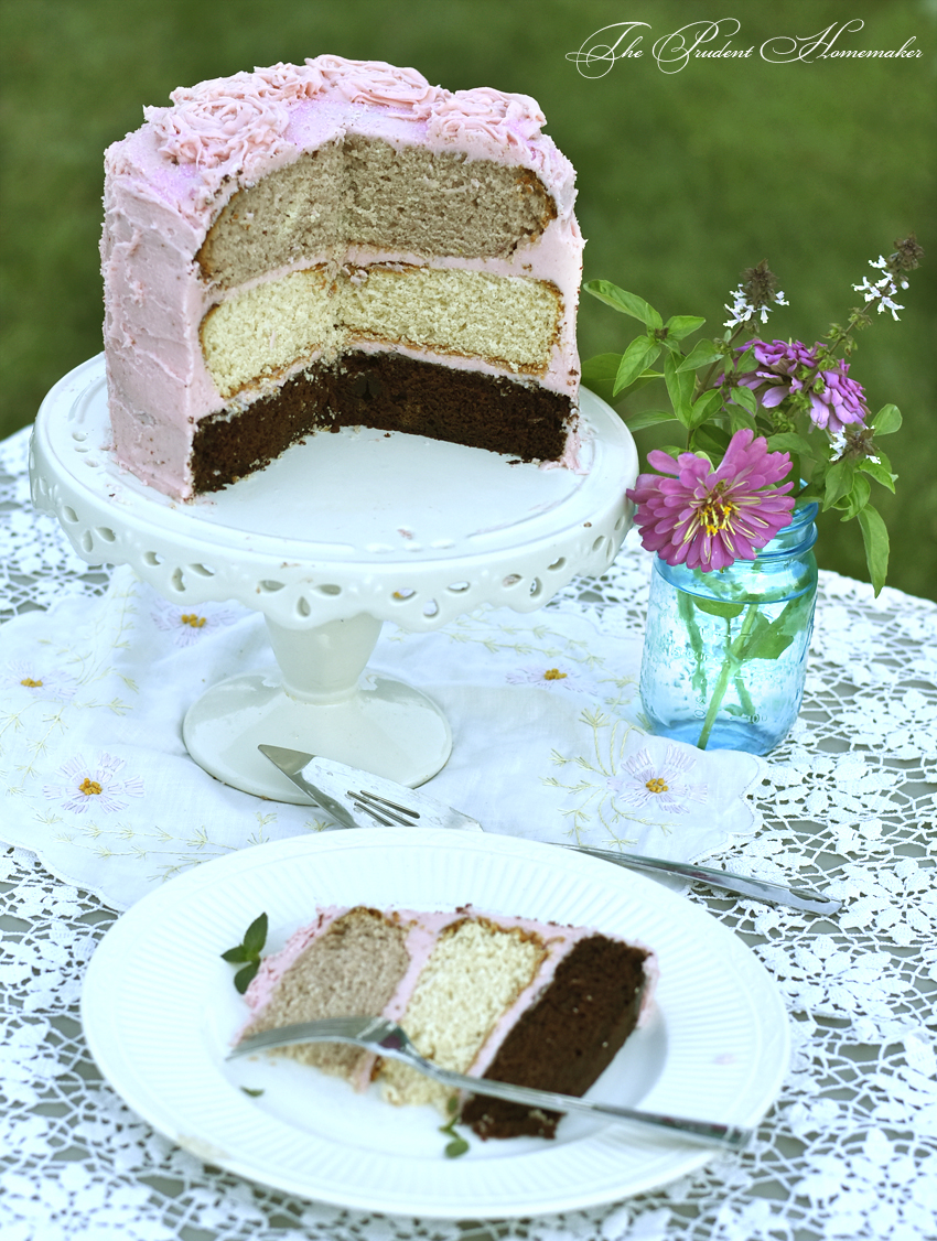 Neopolitan Cake The Prudent Homemaker