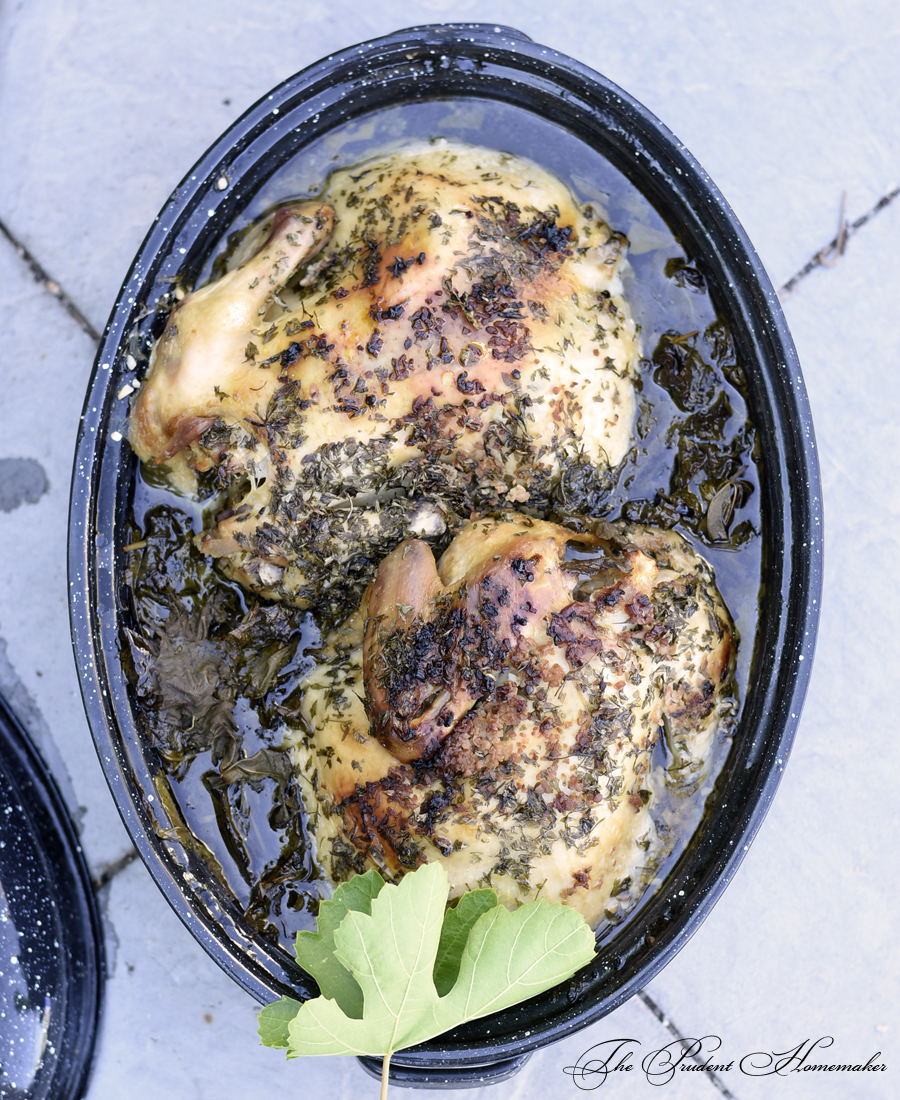 Solar Oven Roasted Chicken The Prudent Homemaker