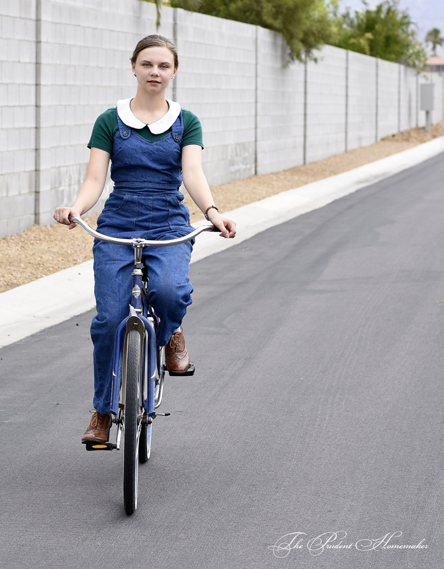 Vintage Denim Overalls 1 The Prudent Homemaker