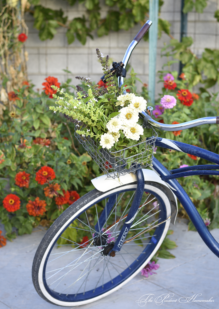 October Bicycle and Flowers The Prudent Homemaker