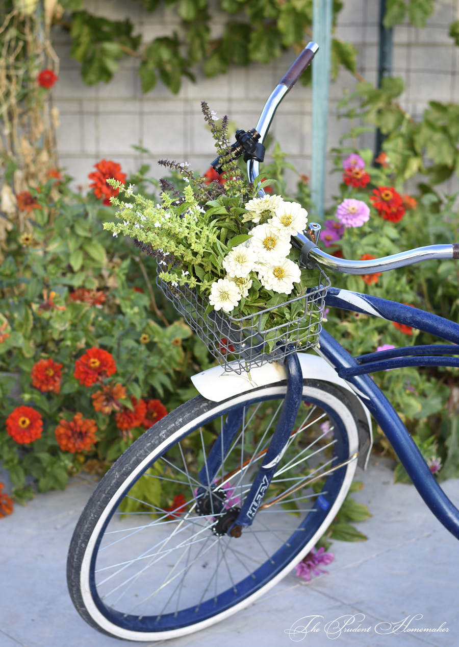 http://theprudenthomemaker.com/wp-content/uploads/2017/10/October_Bicycle_and_Flowers_The_Prudent_Homemaker.jpg