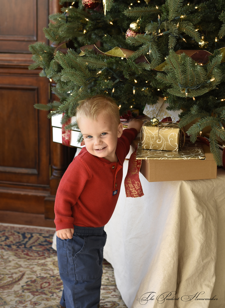 Christmas Octavius Under the Tree The Prudent Homemaker