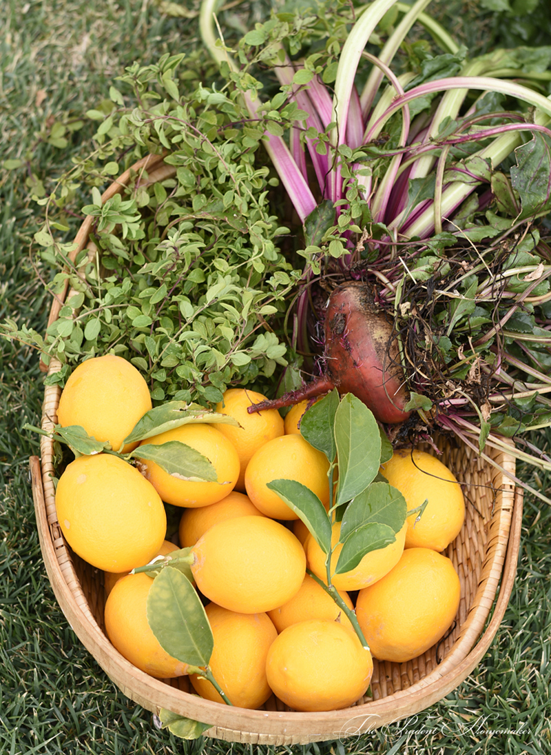 January Garden Harvest The Prudent Homemaker