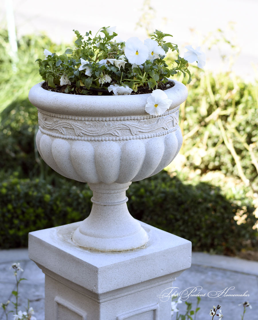 Pansies in White Garden The Prudent Homemaker