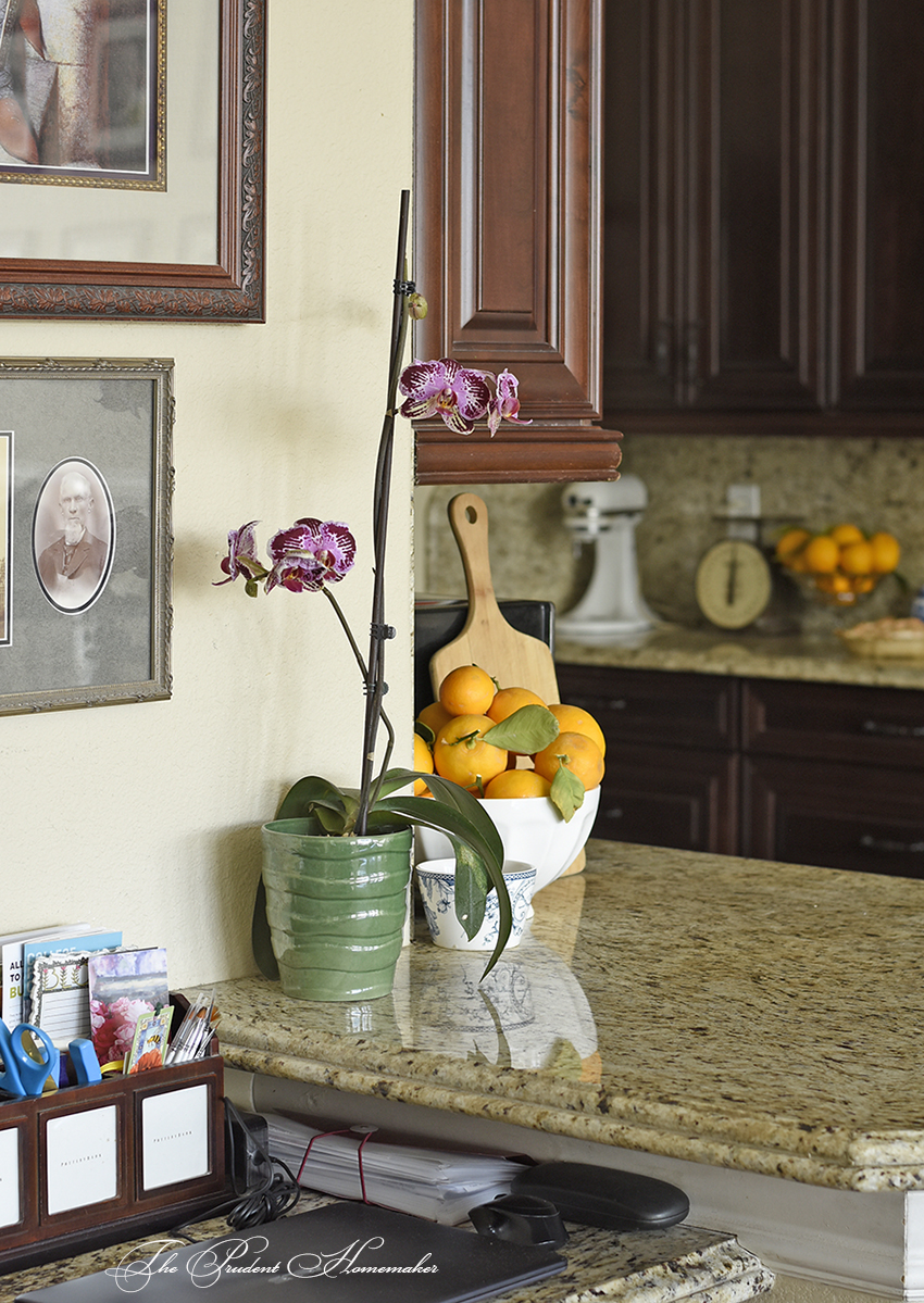 Spring Home Tour Desk The Prudent Homemaker