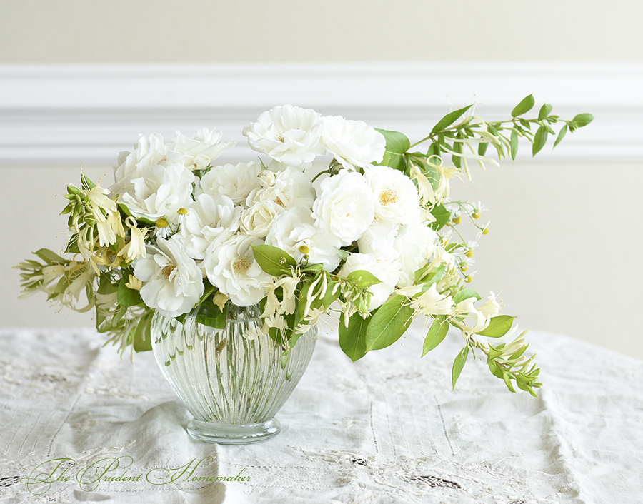 Iceberg Roses and Honeysuckle The Prudent Homemaker