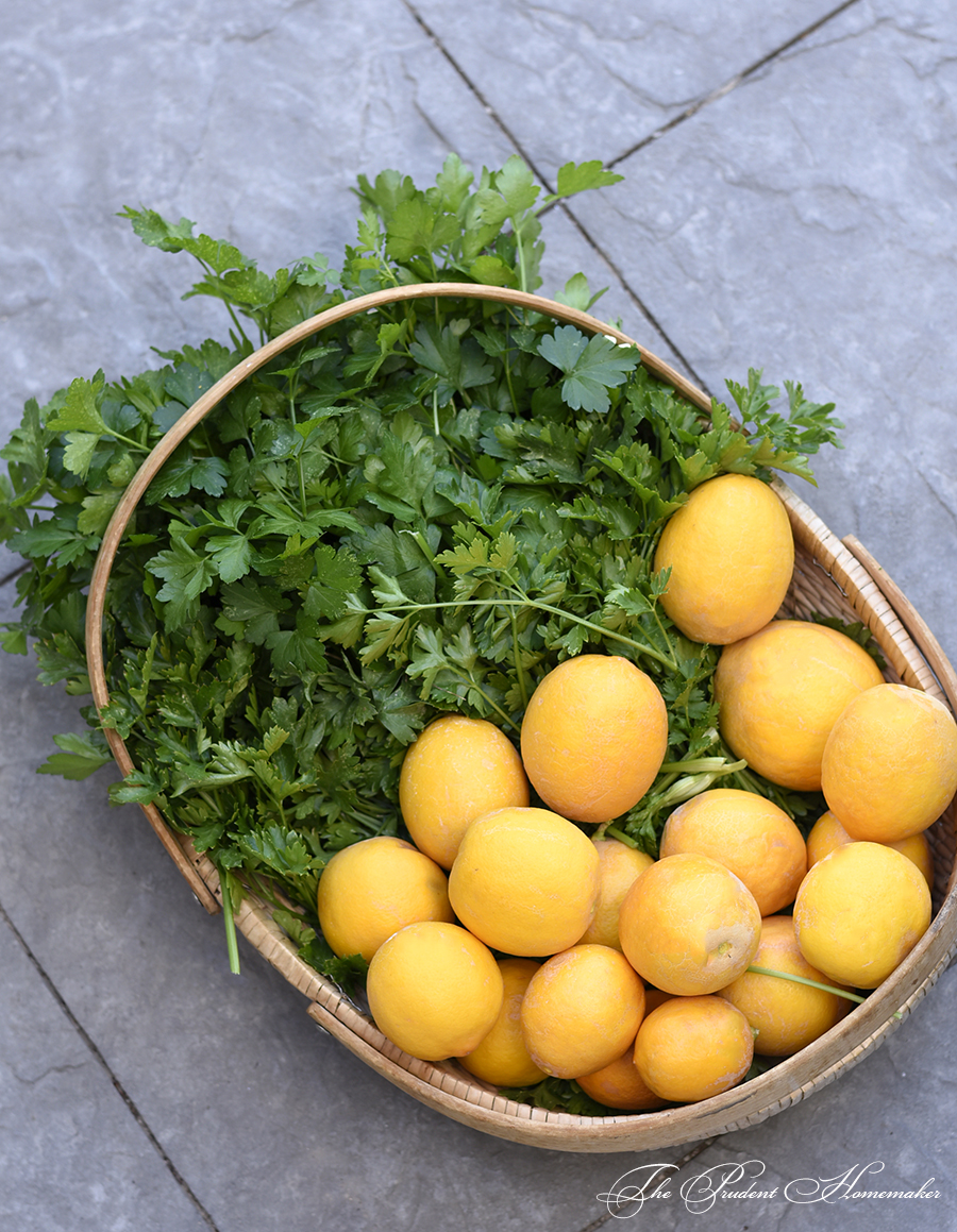 Lemons and Parsley The Prudent Homemaker